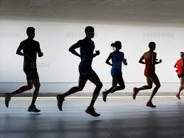 陈子豪赛季贡献分析