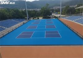 CBA比赛精彩瞬间：深圳队绝杀辽宁,